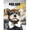 Dog clothes autumn and winter thickened tide black fur one coat small dog Teddy Chenery cat bomeifadou