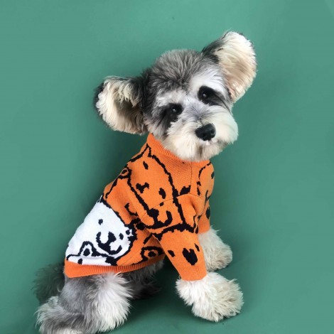 Dog clothes small dog spring and autumn cute Teddy Chenery coquibago cat pet bear Pullover dog sweater