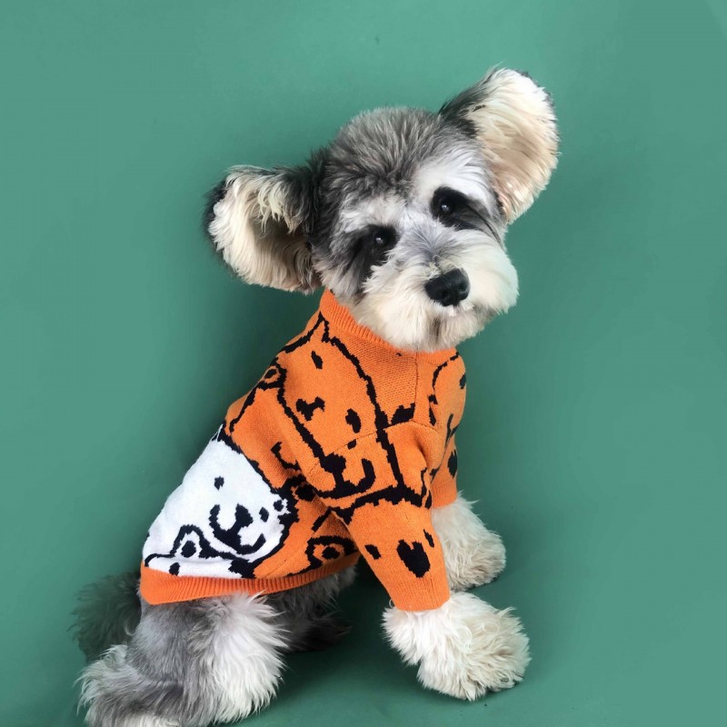 Dog clothes small dog spring and autumn cute Teddy Chenery coquibago cat pet bear Pullover dog sweater