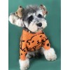 Dog clothes small dog spring and autumn cute Teddy Chenery coquibago cat pet bear Pullover dog sweater