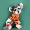 Dog clothes small dog spring and autumn cute Teddy Chenery coquibago cat pet bear Pullover dog sweater