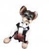 Pet dog clothes autumn and winter fashion Teddy Chenery bomeifa douchong down jacket two wear assault jacket