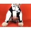 Pet dog clothes autumn and winter fashion Teddy Chenery bomeifa douchong down jacket two wear assault jacket