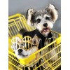 Dog clothes spring and autumn clothes summer Teddy Schnauzer Ricky Chai dog dog pet clothes tide