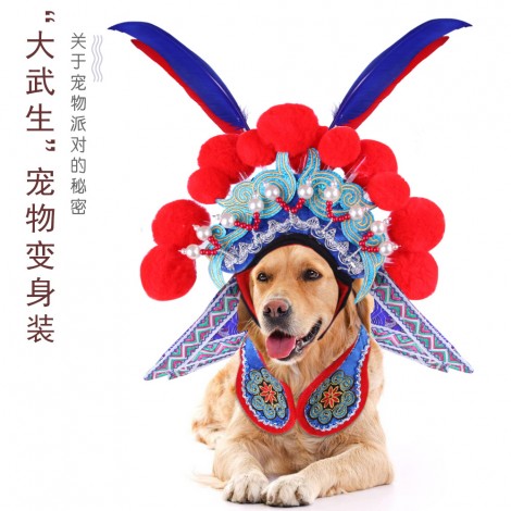 Direct selling of pet products dawusheng pet clothes knife Madan funny dog disguise
