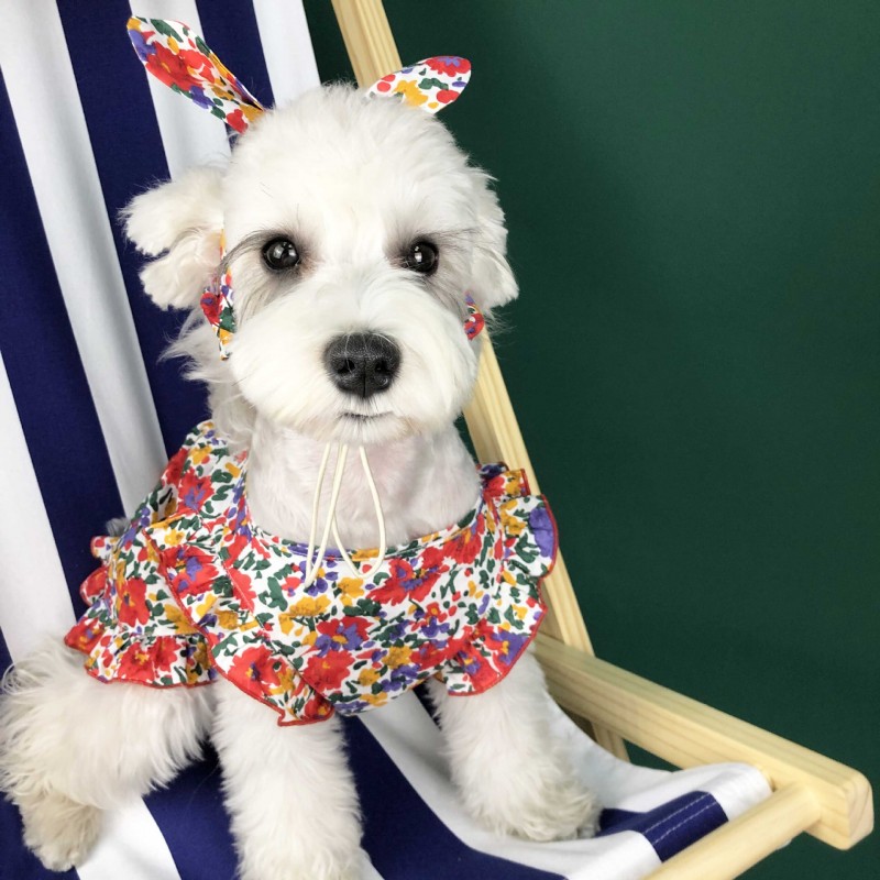 Dog clothes summer thin small dog lovely princess Teddy Chenery dress pet clothes