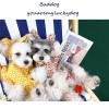 Dog clothes summer thin small dog lovely princess Teddy Chenery dress pet clothes