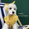 Dog clothes summer thin small dog lovely princess Teddy Chenery dress pet clothes