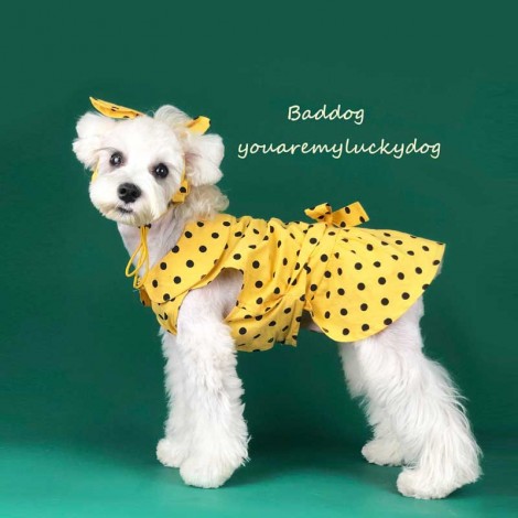Dog clothes summer thin small dog lovely princess dress Teddy Schnauzer Ricky cat pet clothes