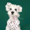 Dog clothes summer thin small dog lovely princess dress Teddy Schnauzer Ricky cat pet clothes