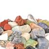 Natural Ore Specimen Box Gem Mineral Amethyst Agate Fluorite Stone Decoration Teaching Course General Fossil Specimen