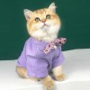 Cat clothes summer clothes thin breathable hair proof ins fashion brand cute English short blue cat dog clothes pet clothes