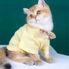 Cat clothes summer clothes thin breathable hair proof ins fashion brand cute English short blue cat dog clothes pet clothes