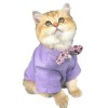 Cat clothes summer clothes thin breathable hair proof ins fashion brand cute English short blue cat dog clothes pet clothes
