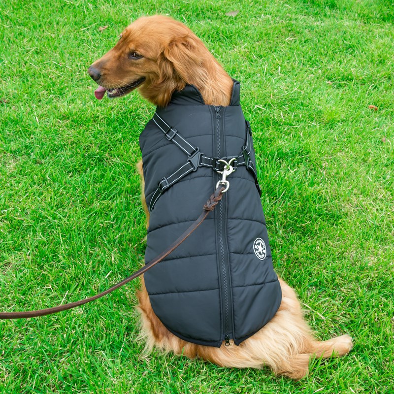 Pet clothes reflecti...