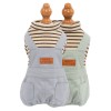 Dog clothes warm in autumn and winter, plush and thickened four legged cotton clothes, casual and versatile pet suspenders, color stripes, sports style