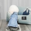 New dog clothes, flashy denim vest, autumn and winter plush punk cat clothes