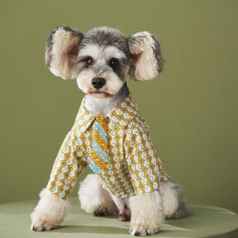 Dog clothes autumn Plush flower shirt Teddy Chenery Bomei VIP kitten pet autumn winter clothes