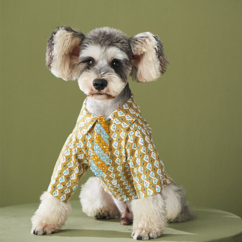 Dog clothes autumn Plush flower shirt Teddy Chenery Bomei VIP kitten pet autumn winter clothes