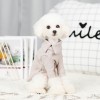 Factory direct sales of new dog clothing autumn and winter plus velvet bottoming shirt small and medium cat clothes warm pet clothes	