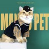 Kitten clothes cute English short blue cat anti hair loss Pet Dog Teddy sweater vest autumn and winter clothes