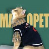 Kitten clothes cute English short blue cat anti hair loss Pet Dog Teddy sweater vest autumn and winter clothes