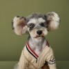Dog clothes autumn winter fashion sweater cardigan Teddy Chenery Bomei VIP cat pet clothes