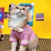 Cat clothes autumn and winter clothes bow sweater small milk cat cute English short blue cat anti hair falling dog pet clothes