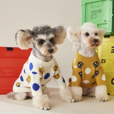 Dog clothes autumn and winter fashion sweater sweater cute small and medium-sized dog Teddy Chenery two legged pet clothes