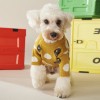 Dog clothes autumn and winter fashion sweater sweater cute small and medium-sized dog Teddy Chenery two legged pet clothes