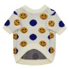 Dog clothes autumn and winter fashion sweater sweater cute small and medium-sized dog Teddy Chenery two legged pet clothes