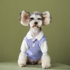 Dog clothes autumn and winter fake two sweaters knitwear Teddy Chenery bomeifa fighting pet fashion
