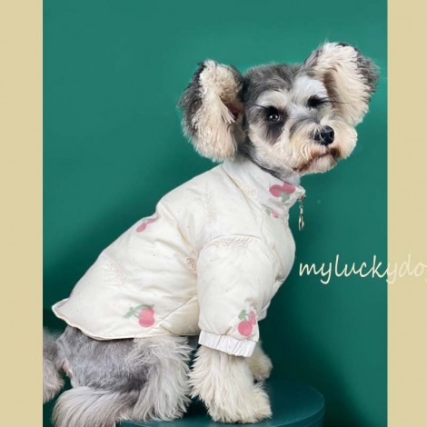 Dog clothes autumn and winter clothes cherry down jacket thickened Teddy Chenery bomeike fadou cute two legged clothes