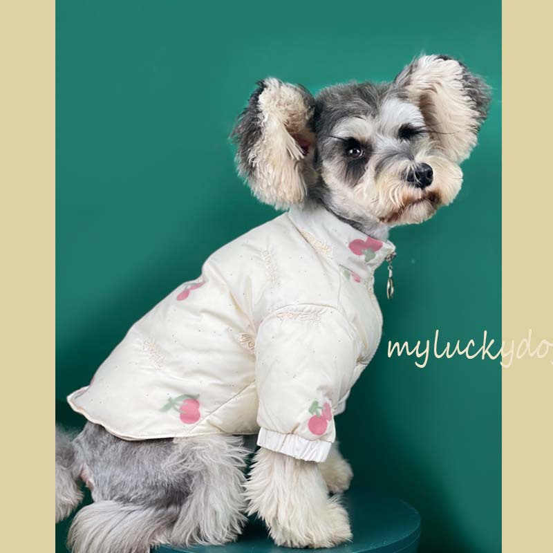 Dog clothes autumn and winter clothes cherry down jacket thickened Teddy Chenery bomeike fadou cute two legged clothes