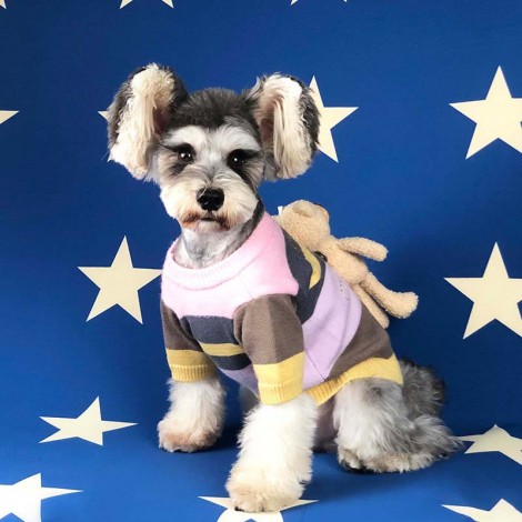 Dog clothes autumn winter sweater back bear cute Teddy Schnauzer fadou pet sweater