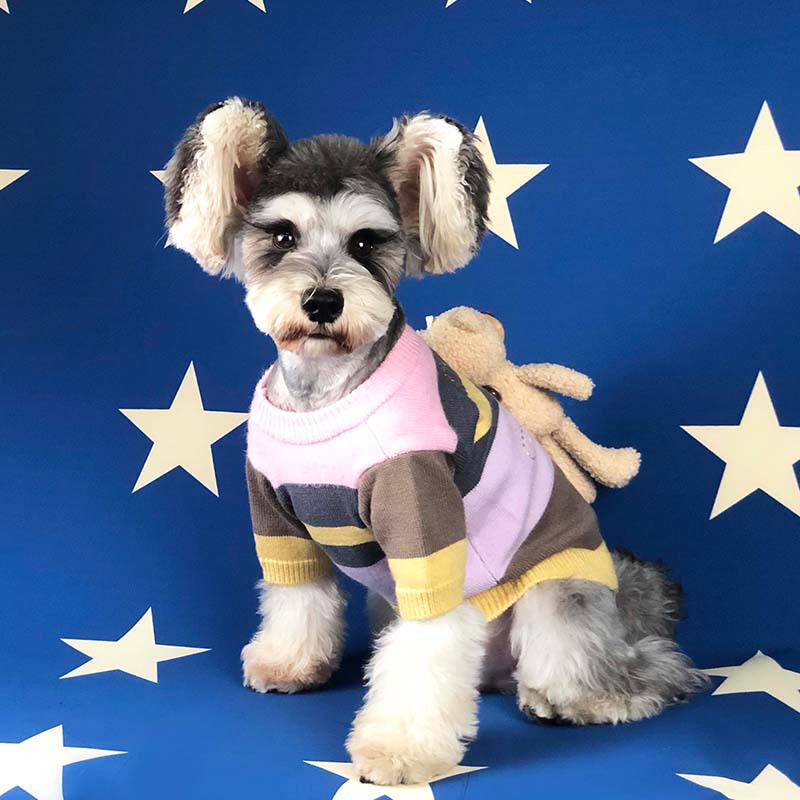 Dog clothes autumn winter sweater back bear cute Teddy Schnauzer fadou pet sweater