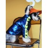 Dog clothes winter clothes thickened down jacket tide Teddy Chenery Bomei medium and small dogs handsome pet clothes