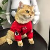Cat clothes autumn and winter clothes Plush sweater blue cat English short hair proof small milk cat red festive pet new year clothes