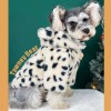Dog clothes autumn and winter thickened warm spot Plush coat small and medium-sized dog Chenery Teddy cat pet clothes