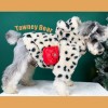 Dog clothes autumn and winter thickened warm spot Plush coat small and medium-sized dog Chenery Teddy cat pet clothes
