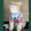 Cat clothes winter clothes anti hair loss English short blue cat thickened warm and lovely little milk cat Teddy Bomei pet sweater