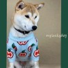 Cat clothes winter clothes anti hair loss English short blue cat thickened warm and lovely little milk cat Teddy Bomei pet sweater