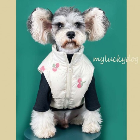 Dog clothes autumn and winter warm cherry vest Teddy Chenery Bomei fadou small and medium-sized dog pet down jacket