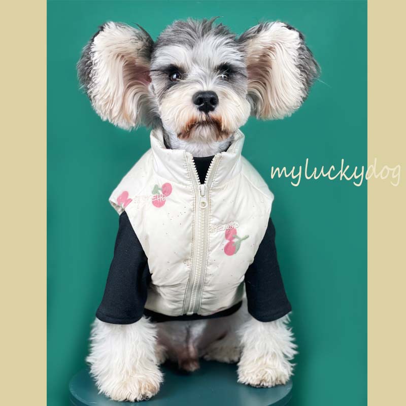 Dog clothes autumn and winter warm cherry vest Teddy Chenery Bomei fadou small and medium-sized dog pet down jacket