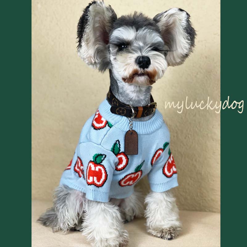 Dog clothes autumn and winter small dog thickened sweater Teddy cat Chenery Bomei Chai dog fashion pet sweater