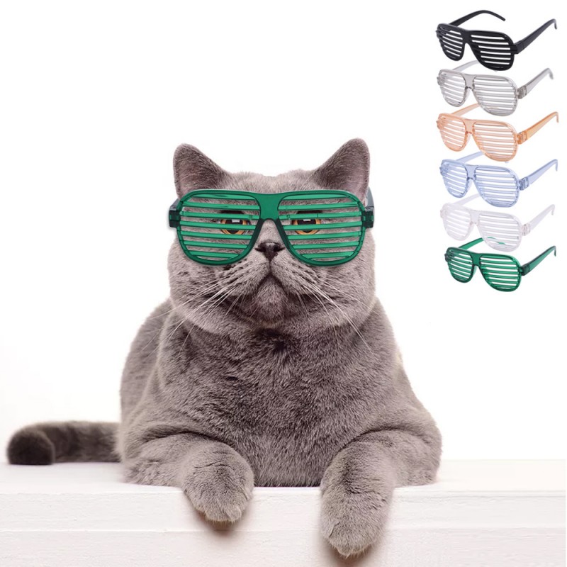 Spot pet glasses dog...