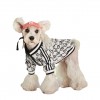 Pet clothes spring and summer letters contrast color sweater Teddy Chenery than bear firewood dog fadou cat dog clothes
