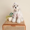 Pet clothes spring and summer lace flower shirt Teddy Schnauzer FAW firewood dog cat than bear dog clothes