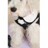 Dog clothes summer small fragrance dress Teddy Schnauzer marzis bear fight cat pet clothes