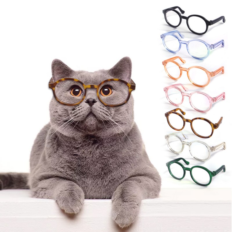 Spot pet glasses dog...